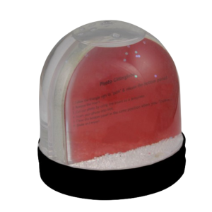 Picture Snow Globe
